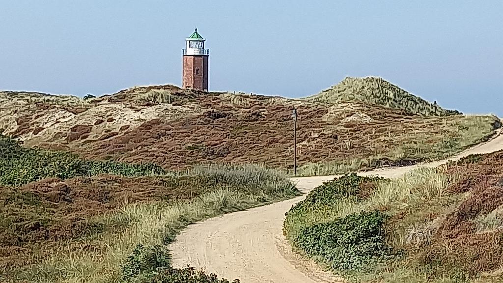 Sylt (84)